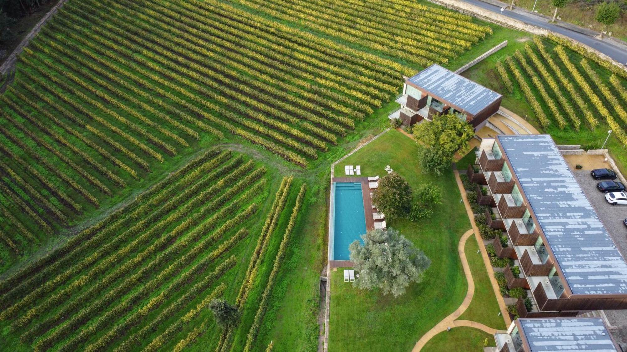 Torre De Gomariz Wine & Spa Hotel Cervães Dış mekan fotoğraf